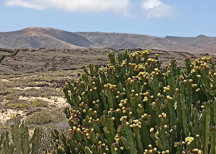 Apartamento Casa Blanca *